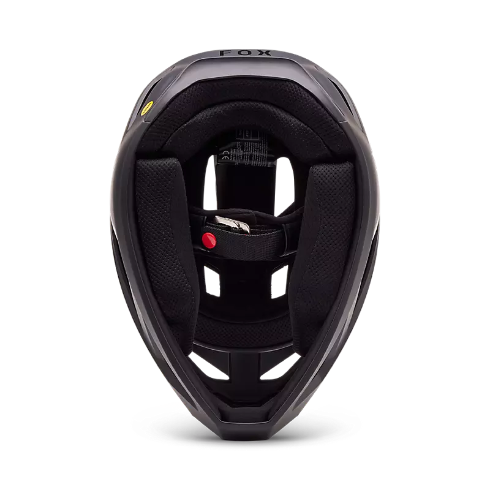 Interior casco Fox Youth Rampage negro acolchado